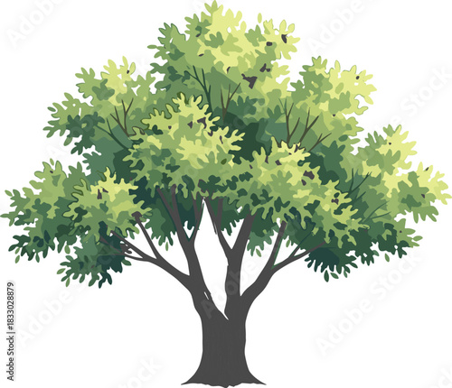 Lush green deciduous tree vector illustration with detailed foliage and a broad canopy, perfect for nature and growth concepts.