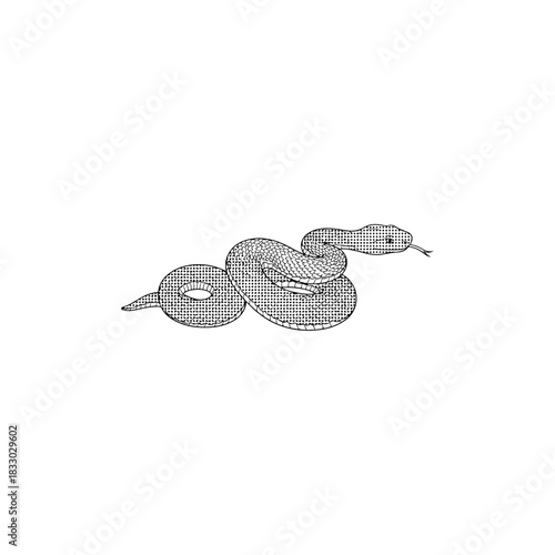 Rattlesnake illustration isolated on transparent background