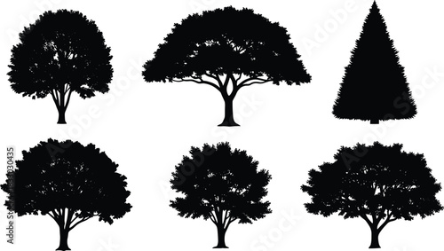 Set of six black tree silhouettes vector illustration, collection of nature icons, isolated forest plants including oak and pine for landscape design.