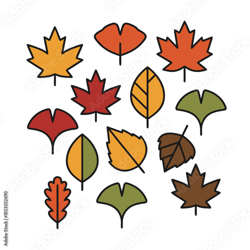 Assorted Autumn Leaves in Various Fall Colors Including Maple Ginkgo and Oak on Black Background