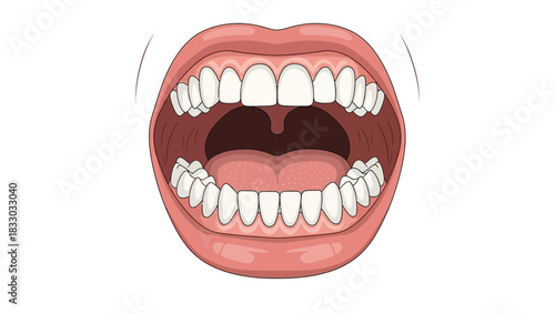 Anatomy of the Mouth: A detailed illustration of the open human mouth, revealing the teeth, tongue, and throat in a clear and educational depiction.