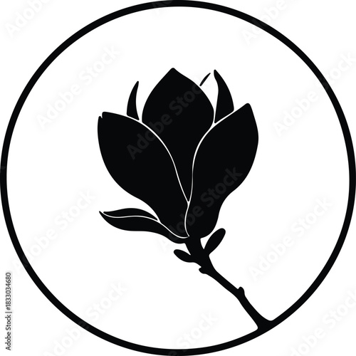 Illustration magnolia flower blossoming branch circle frame silhouette vector