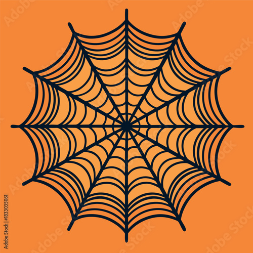  spider web illustration