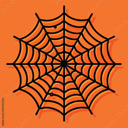  spider web illustration