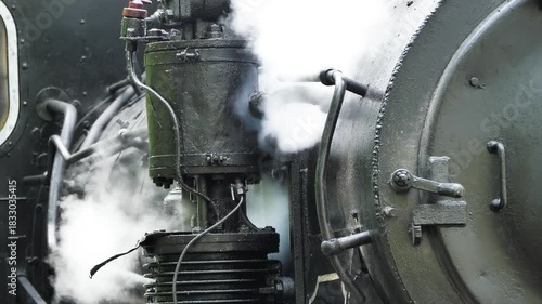 Children's Railway Locomotive Puffs Steam in Park