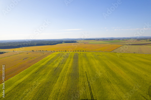 rural landscape with a field and blue sky