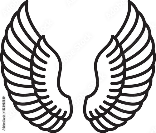 Pair of vector wings outline icon with feathered details for heavenly or freedom concepts on dark background