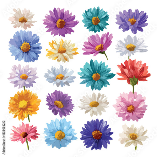 set of flowers isolated