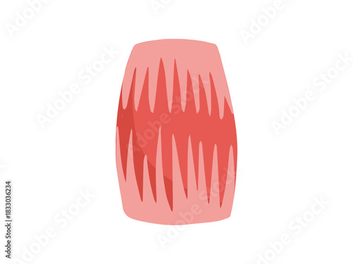 Parallel Muscle Cells