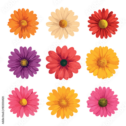 set of flowers isolated