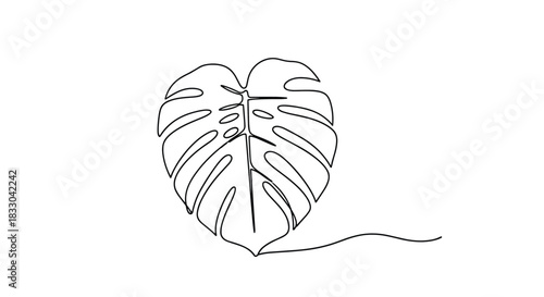 Minimalist continuous one-line drawing of a monstera leaf, a popular tropical plant, creating a simple and elegant botanical art piece.