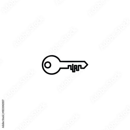 Digital Security Key Icon