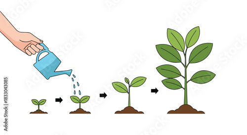 Infographic showing the stages of plant growth from a seed to a mature tree, with a hand watering a small sprout to help it grow.