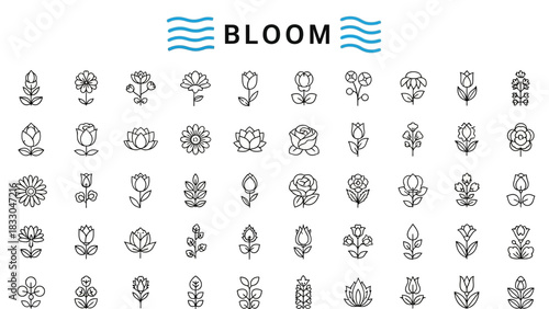 Elegant Collection of Stylized Floral Icons for Spring and Nature-Inspired Designs