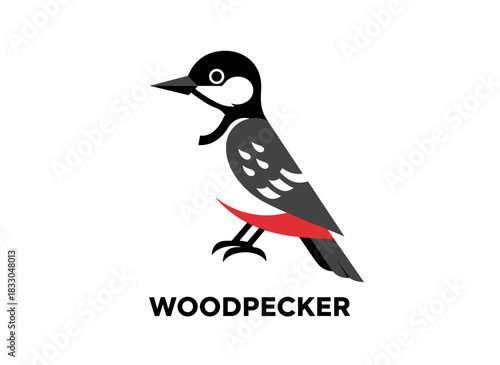 A woodpecker isolated against a white background, a beautiful omnivorous forest bird and woodland inhabitant, a playful birdie, depicted as an avian species in a modern colorful vector illustration