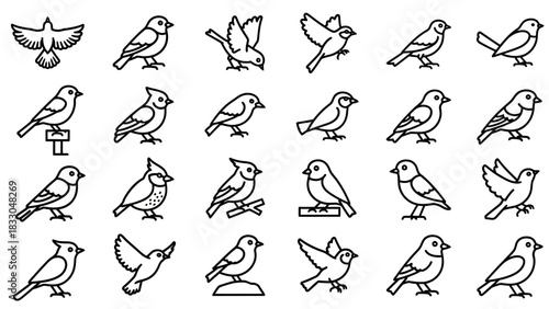 Diverse vector set of minimalist bird illustrations, featuring various avian species in black and white line art, ideal for graphic design, nature themes, and iconography