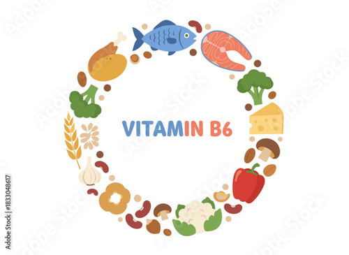 Vitamin B6 card featuring a frame of organic natural food sources, a healthy nutrients circle, enriched with adermine, illustrated in a colorful flat vector style with fish, garlic, and cereals