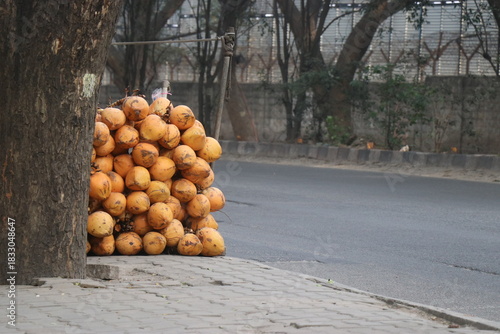Pile of coconut kept for sale by the side of a road with natural light. Tender coconut selling