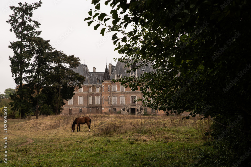 Obraz premium Grazing Horse in Front of a Neglected French Château with Grand Staircase and Moody Overcast Sky