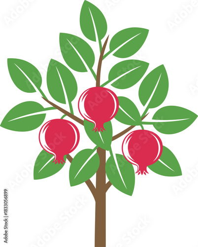 Pomegranate tree logo. Isolated pomegranate tree on white background