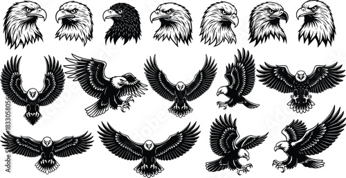 Fierce Eagle Heads and Flying Poses Black Vector Set: Including Bald Eagle, Falcon, and Hawk Silhouettes for Mascot, USA Patriotism, Military, and Wildlife Logo Design Elements.