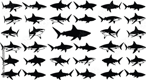 Large Set of Black Shark Silhouettes, Multiple Poses and Species, Vector Graphic Collection, Predatory Ocean Fish, Perfect for Logo, T-shirt, and Decal Design Elements.