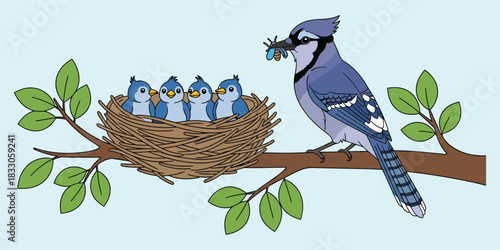 Blue jay feeding babies, bird nest scene, parental care, tree branch, cartoon wildlife, nature moment, flat vector illustration