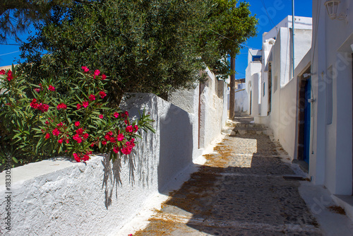 Fototapeta Naklejka Na Ścianę i Meble -  Narrow street in Pyrgos - view of streets of medieval village Pyrgos at Santorini island