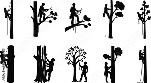 Vector arborist tree climber silhouette collection, professional tree care worker with safety gear cutting and pruning branches illustration design set.