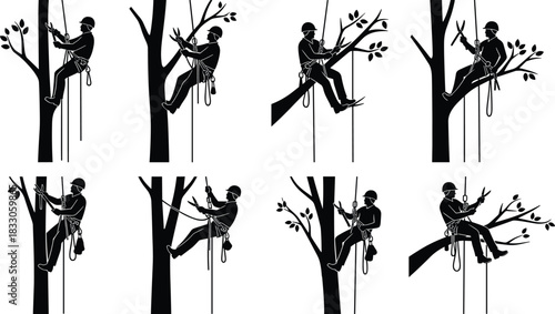 Vector arborist tree climber silhouette collection, professional tree care worker with safety gear cutting and pruning branches illustration design set.
