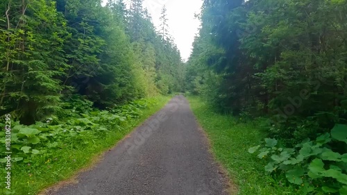 Hiking in long Ticha dolina valley in Tatra mountains in Slovakia during cloudy summer day