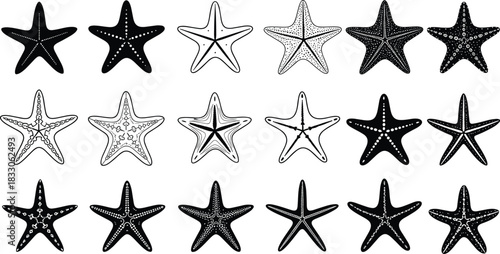 Vector starfish and sea star outline and black silhouette collection, marine life and ocean animal set for summer beach and nautical design illustration.