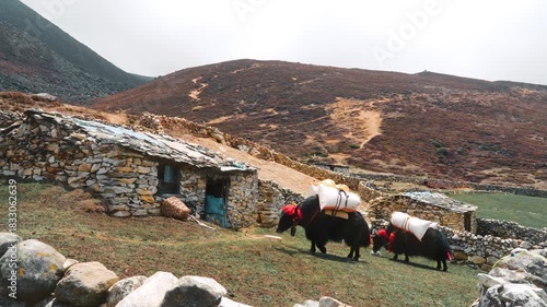 Cinematic Camera Footage of the Everest Base Camp Trek – Himalayan Trails, Culture, and Mountain Life