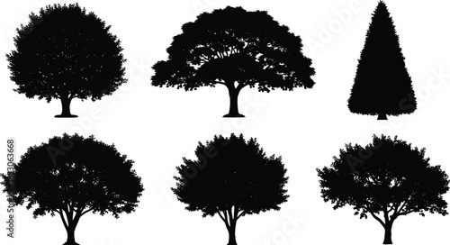 Set of Six Black Tree Silhouettes, Including Broadleaf, Deciduous, and Coniferous Shapes, Vector Collection for Architectural Plans, Landscape Design, and Nature Graphics Elements.