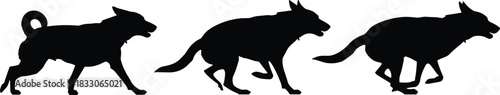Three black dog silhouettes in motion on white background black and white animal