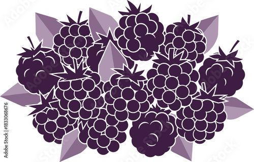 Purple raspberry or blackberry fruit illustration with copy space for text