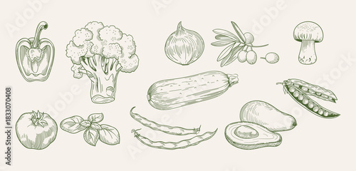 Hand-drawn vegetable set in classic engraving style featuring zucchini, beans, peas, avocado, broccoli, pepper, mushroom, basil, onion, tomatoes and olives in soft vintage tones.
