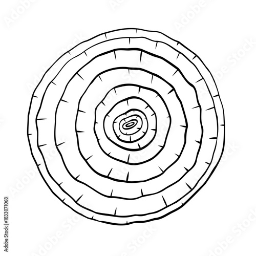 Onion slice, onion rings monochrome botanical fragrant vegetable drawing illustration. Isolated. Graphic hand drawn ink black and white vector. Good for cooking, medicinal, menu, garden, package