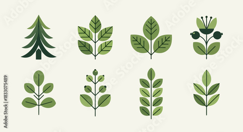 Collection of stylized green botanical elements including a fir tree leaves berries and a flower on a light background