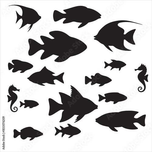 Fish Vector