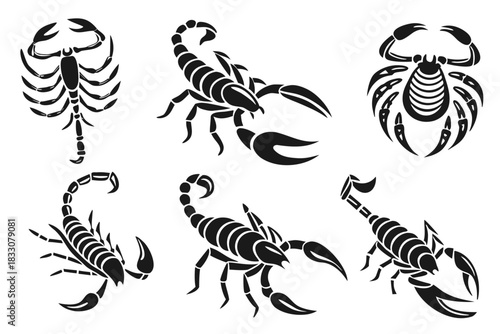 Eight minimalist emperor scorpion icons for design projects