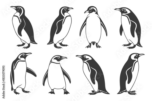 Eight minimalist emperor penguin icons