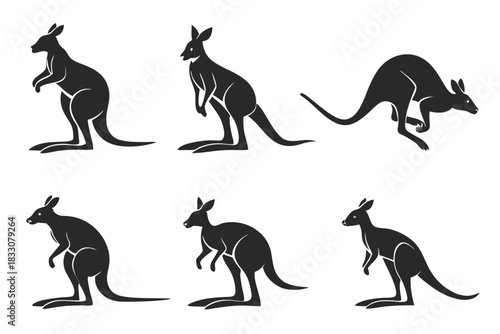 Minimalist kangaroo icon set in flat design style