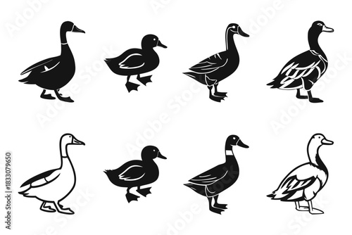 Minimalist domestic duck icon set in black yellow cyan magenta