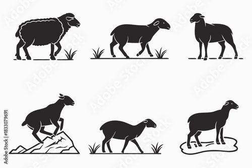Minimalist domestic sheep icon set with farm animal graphics