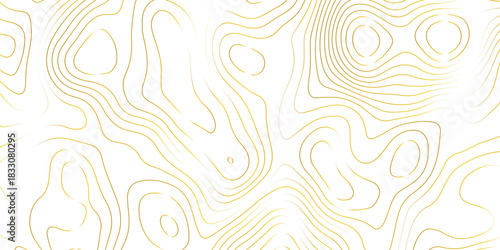 Topographic map background with geographic grid for hiking and mountain sport. luxury topographic wavy pattern and geographic grid map design. paper texture Imitation of a geographical map shades.