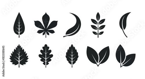 Collection of diverse black leaf silhouettes representing different plant species and shapes on a white background