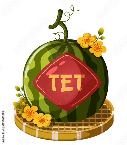 Tet Watermelon with Ochna Flowers on Bamboo Tray Isolated. Vietnamese Lunar New Year Graphic Vector Illustration