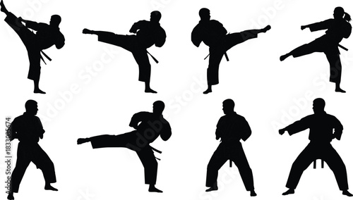 Eight Black Silhouettes of Karate Fighters Performing Kicks and Punches martial arts