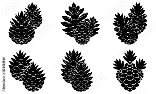 Elegant pine cone collection, perfect for holiday designs, rustic invitations, and winter themed decorations, originally designed as scalable vector art